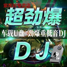 汽车载u盘歌曲2024抖音夜店劲爆DJ舞曲dj无损高音质车用音乐优盘