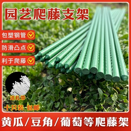 爬藤架花架包塑钢管月季豆角西红柿黄瓜园艺固定杆葡萄植物支撑架