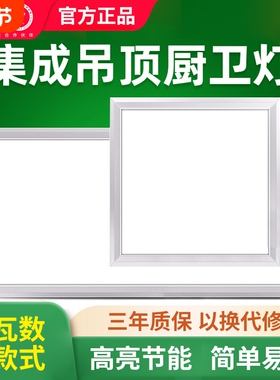 雷士照明厨房灯300x600扣板灯集成吊顶LED灯浴室卫生间平板吸顶灯
