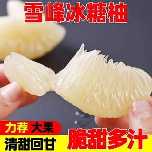 安江雪峰黔阳冰糖柚新鲜水果湖南怀化高山老树小苦柚药柚金兰柚子