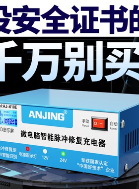 智能脉冲纯铜自动铅酸电池充电器