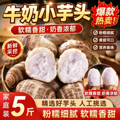 新鲜山东牛奶芋头5斤小香芋现挖农家自种毛芋头奶油芋艿软糯蔬菜