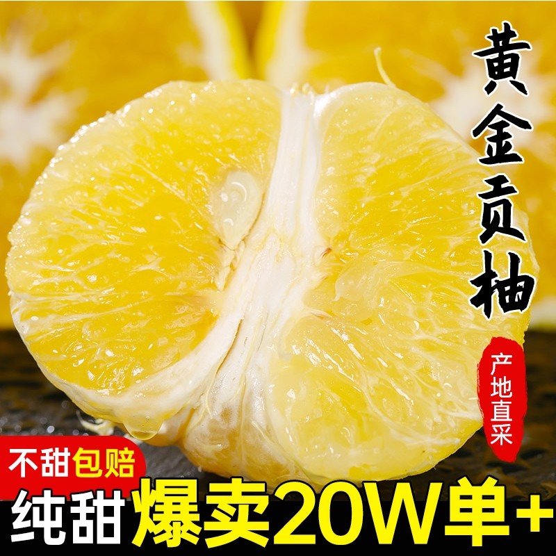 黄金贡柚10斤包邮湖南怀化新鲜当季水果纯甜春香橘柚象山青胡柚