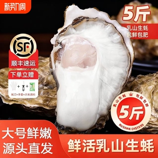 乳山牡蛎5斤 乳山生蚝大号生鲜威海海鲜海蛎子源头直发烧烤食材