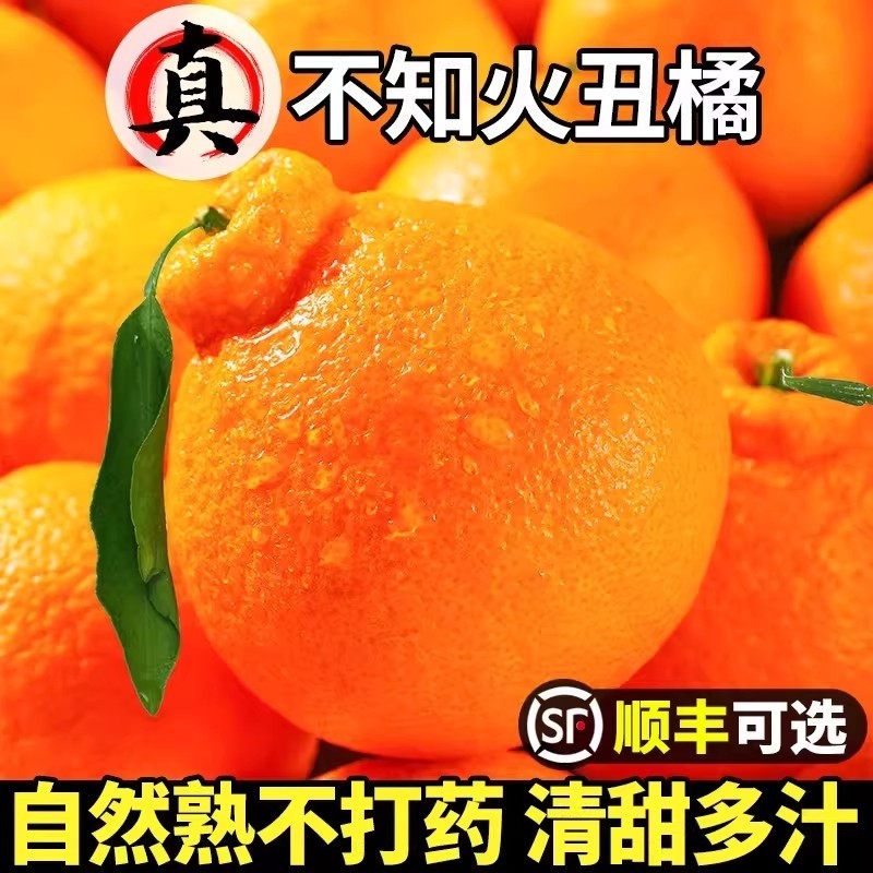 四川不知火丑橘高山新鲜水果当季丑粑粑蜜耙耙桔子柑整箱包邮生鲜