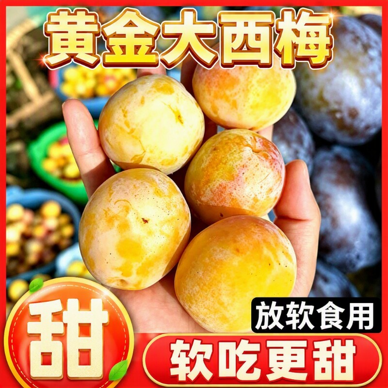 正宗黄金大西梅现货纯甜西梅新鲜李子应季当季孕妇水果顺丰国产