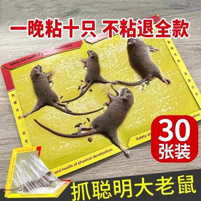 老鼠粘强力粘鼠板抓大老鼠贴夹扑捉灭鼠胶沾正品家用捕鼠神器超强