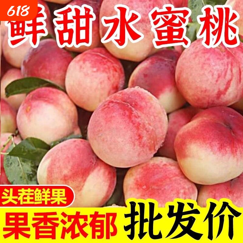 现摘桃子新鲜脆甜水密桃5斤当季应季水果离核毛桃水蜜桃鲜果