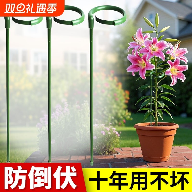植物支撑杆龟背竹花卉支撑架固定防倒伏朱顶红百合园艺番茄爬藤架