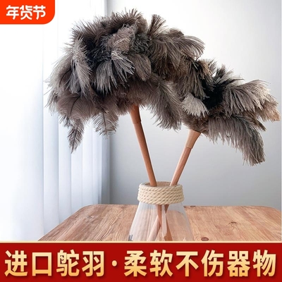 扫灰掸子家用除尘神器防静电除尘掸鸵鸟毛禅加厚加长灰尘伸缩清扫