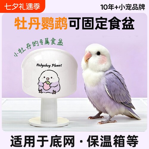 刺星球圆顶陶瓷防撒食喂食器
