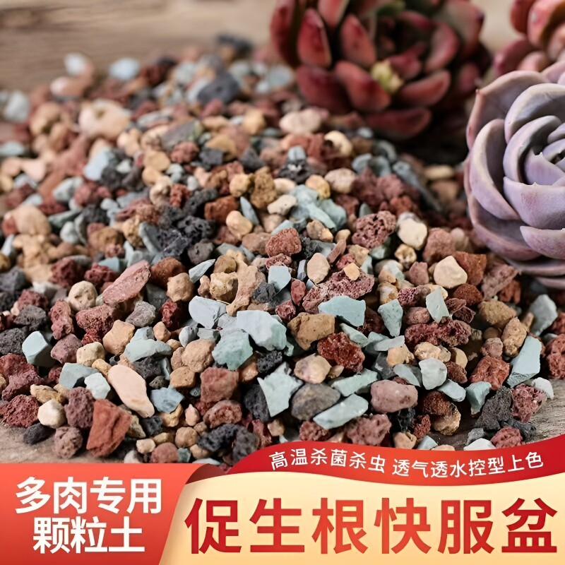 多肉专用颗粒土纯颗粒土多肉土营养土彩虹石养花小石子通用型肉肉