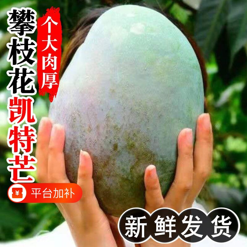 攀枝花凯特芒果9斤新鲜甜心芒当季水果现摘青皮芒特大果整箱包邮