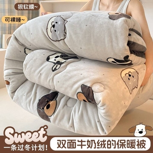 免被罩双面绒被子秋冬2025新款 加绒加厚软被ins学生被褥被芯双人