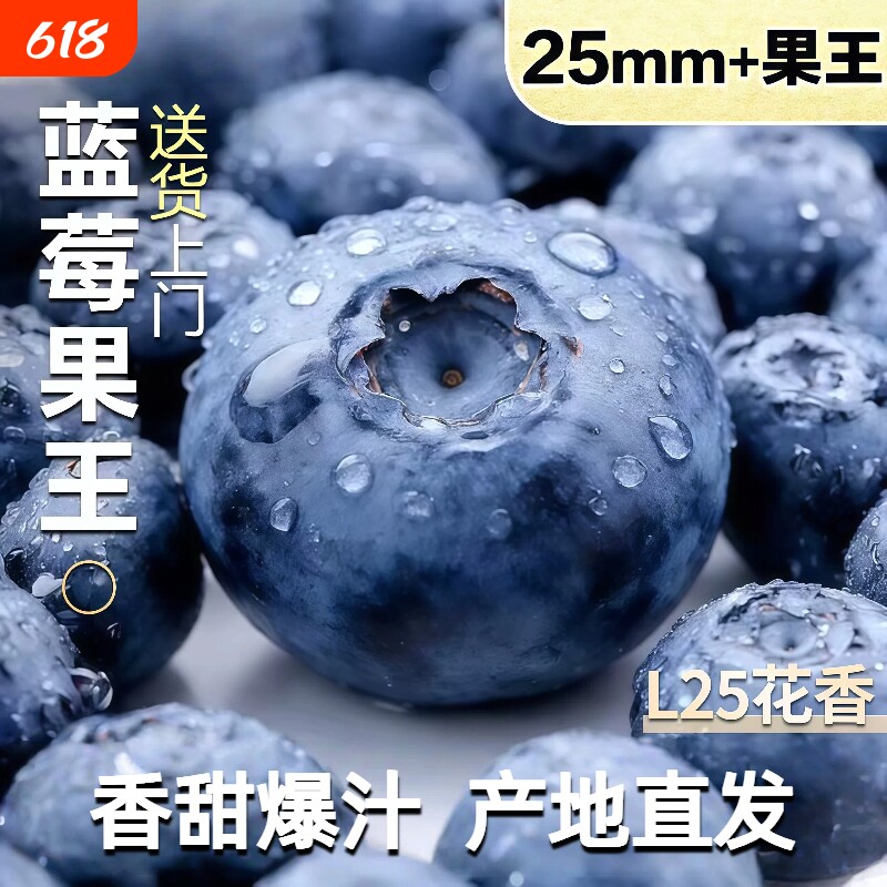 云南蓝莓新鲜水果顺丰鲜果现摘L25花香高山孕妇整箱包邮大果一颗