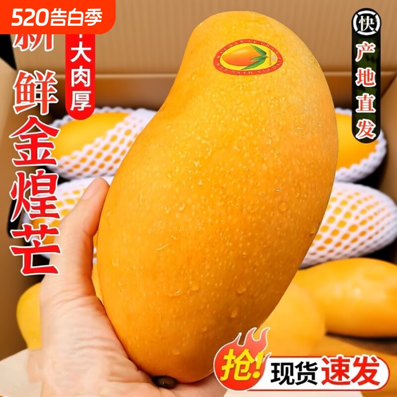 海南金煌芒果整箱9斤包邮新鲜现摘当季热带水果皮薄核小甜蜜多汁5