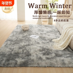 北欧ins风加厚少女卧室床边地毯长毛绒家用客厅沙发房间脚垫地毯
