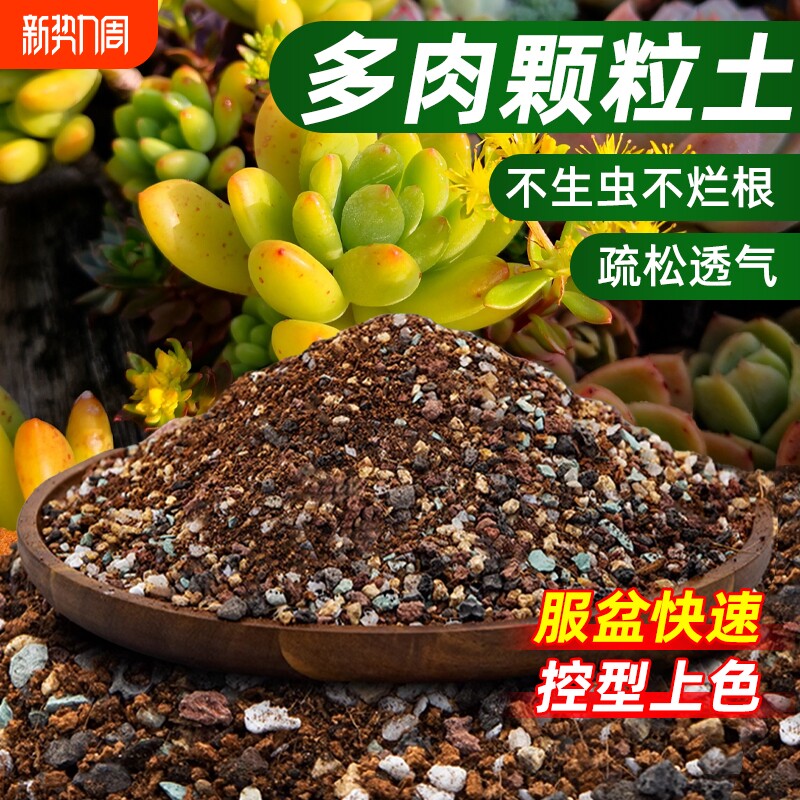 多肉专用颗粒土多肉植物营养土叶插纯颗粒种植土壤基质泥炭土黄金