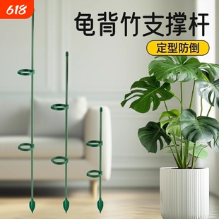 园艺支撑杆花架固定器龟背竹花支架固定花神器植物花杆爬藤防倒伏