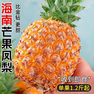 海南芒果凤梨手撕当季 时令水果树上熟台农23号非菠萝金钻无眼新鲜