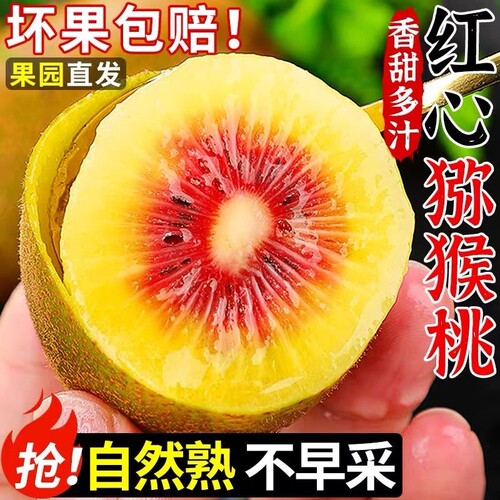 【彩箱】正宗四川蒲江红心猕猴桃水果当季整箱批发奇异果新鲜包邮