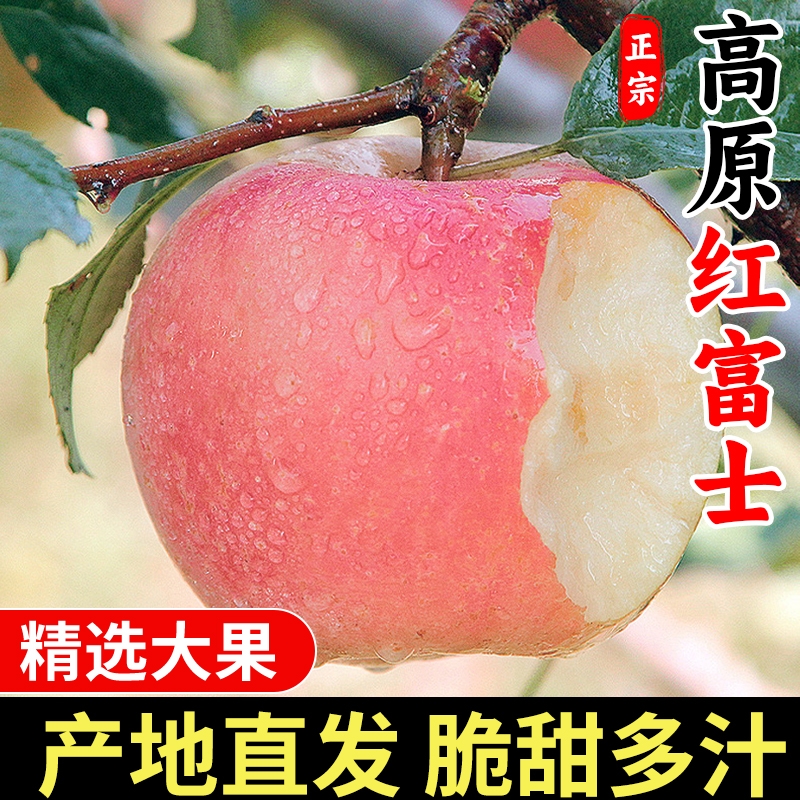 正宗新鲜高原红富士苹果当季水果膜袋苹果整箱包邮批发价脆甜采摘