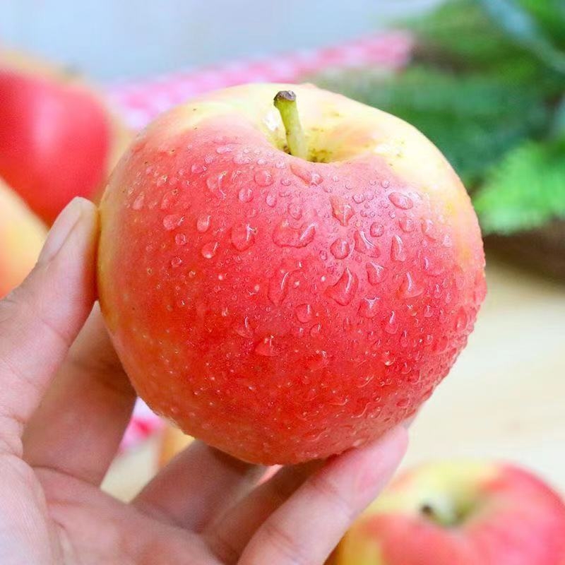 陕西嘎啦苹果新鲜现摘当季水果脆甜丑平果冰糖心脆甜新鲜水果应当