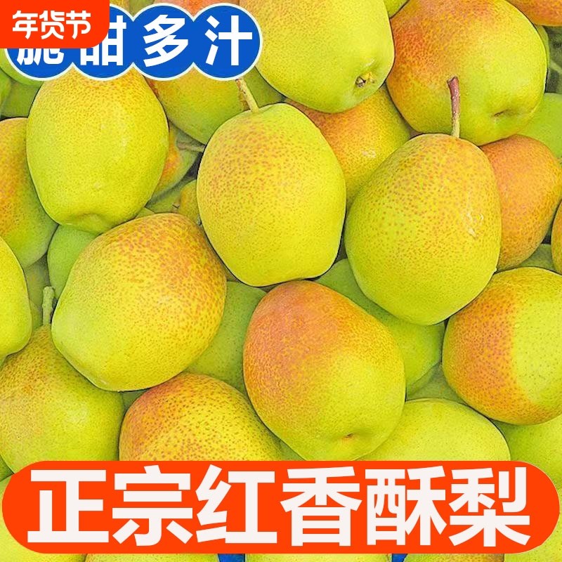 当季新鲜水果梨子正宗红香酥梨脆甜薄皮无渣特价整箱5斤包邮10,水产肉类/新鲜蔬果/熟食,梨,淘宝优惠券,粉丝福利购,淘宝优惠卷