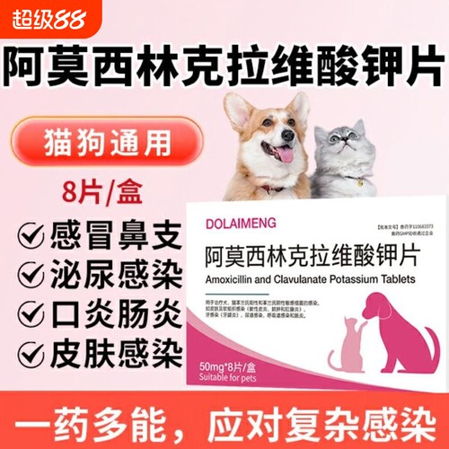 猫咪狗狗感冒药阿莫西林克拉维酸钾片速消炎片猫鼻支诺流鼻涕喷嚏
