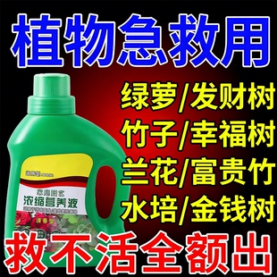超浓缩植物营养液绿萝花肥通用化肥料家用绿植盆栽叶黄万能富贵竹