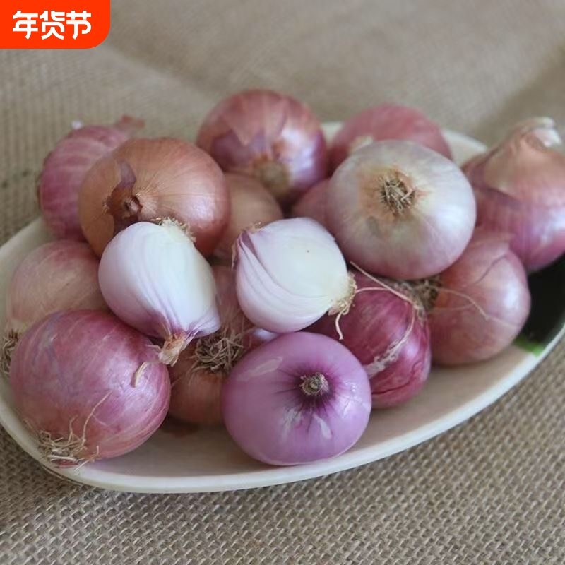 新鲜毛葱头干葱头珠葱小洋葱圆葱炸葱油广东肠粉酱汁发货包邮生鲜,水产肉类/新鲜蔬果/熟食,洋葱/红葱头,淘宝优惠券,粉丝福利购,淘宝优惠卷