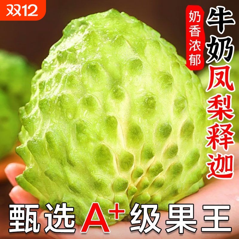 云南释迦果佛头水果坏果包赔