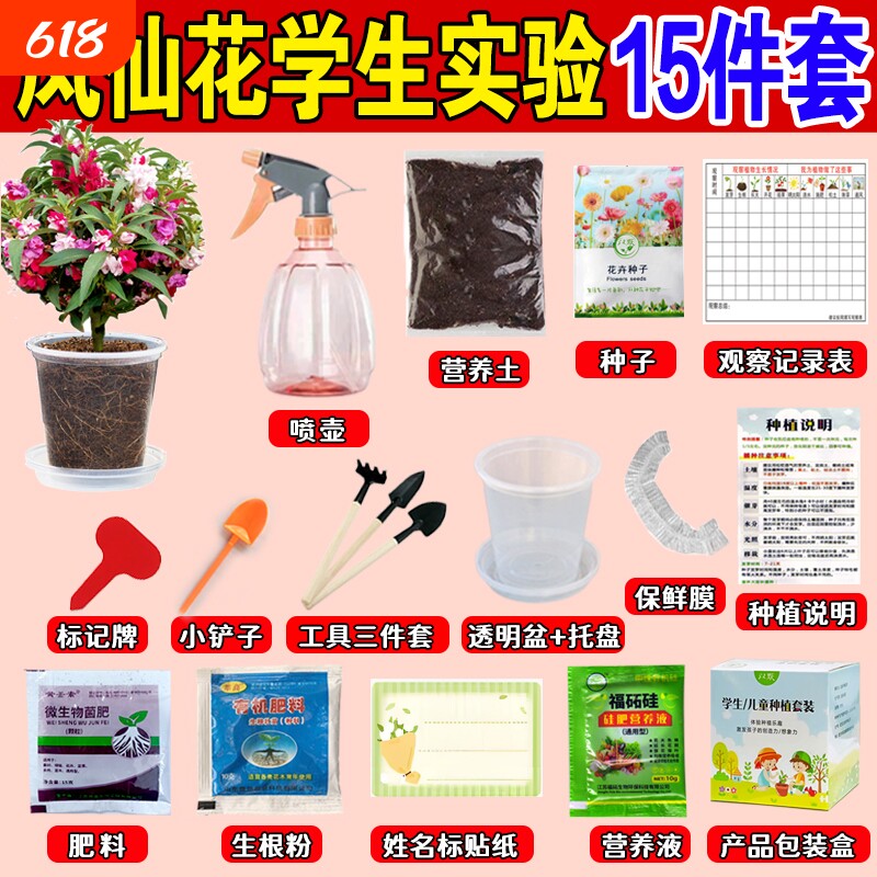 凤仙花种子小学生科学实验种植套装儿童小盆栽四年级植物花生水果