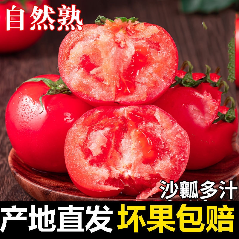 正宗自然熟沙西红柿5斤