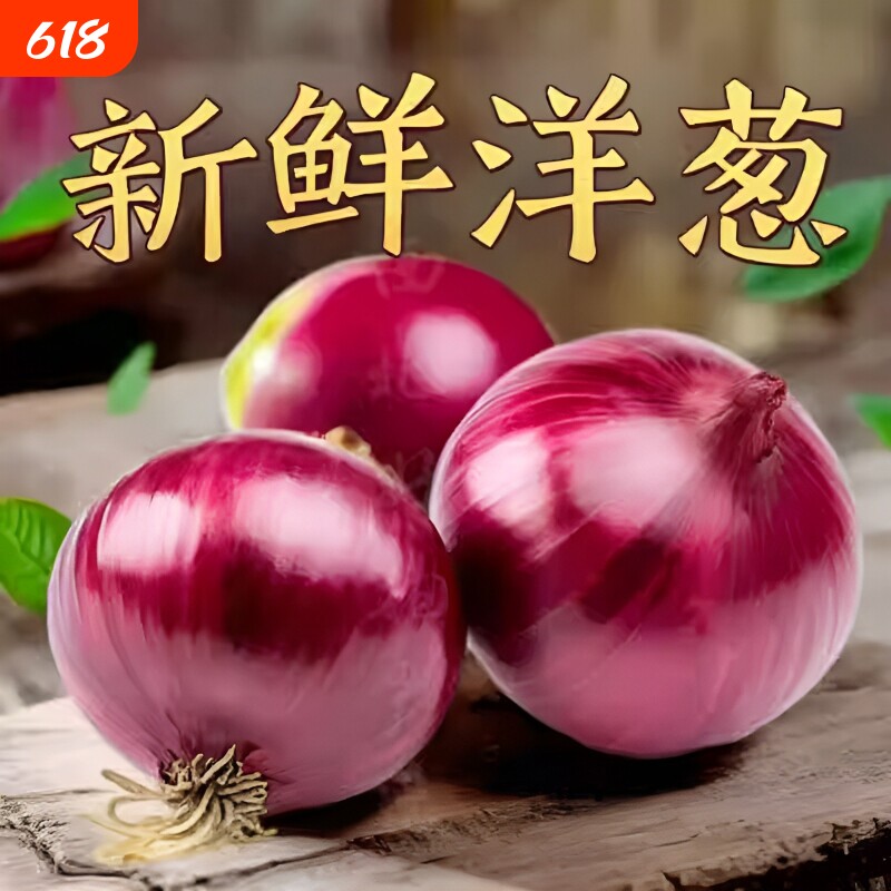 2026新鲜现挖紫皮洋葱当季圆葱生吃辛辣脆嫩大红香辣农家