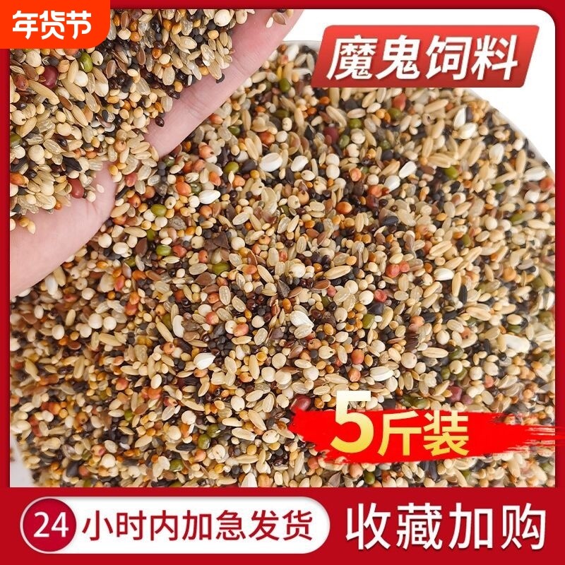 魔鬼饲料鸽粮无玉米小颗粒鸽子食粮营养斑鸠信鸽专用5斤混合五色