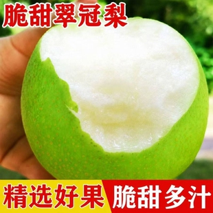 现货正宗砀山青皮梨子翠冠梨翠玉皇冠梨脆甜当季新鲜水果整箱包邮
