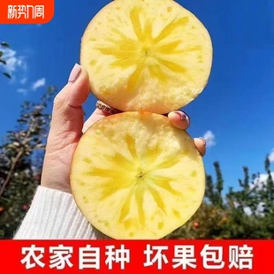 正宗冰糖心红富士苹果丑苹果脆甜不打蜡新鲜水果整箱批发 脆甜
