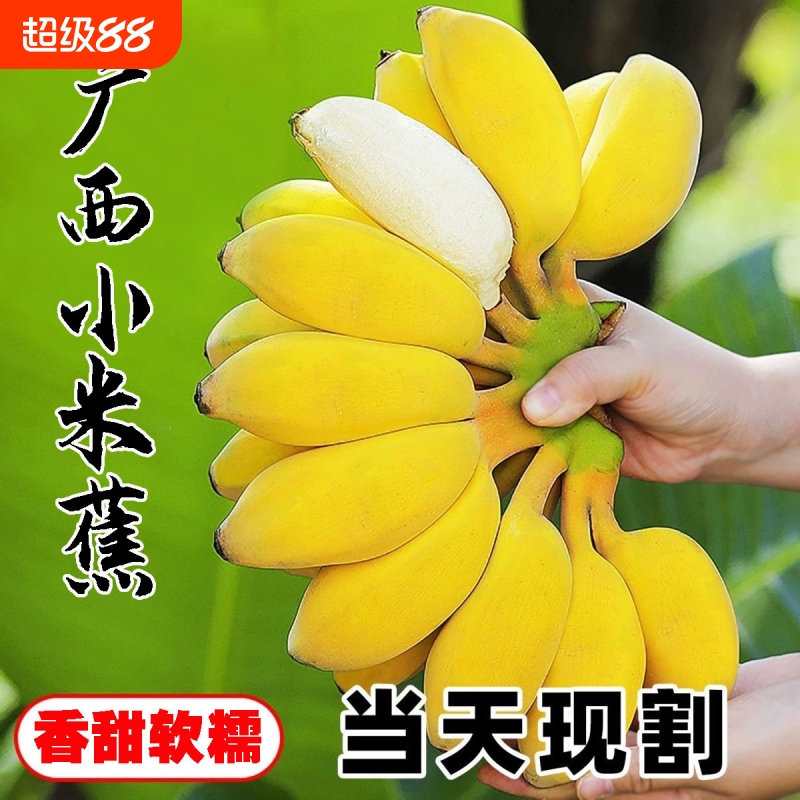 新鲜小米蕉5斤|超1000次加购