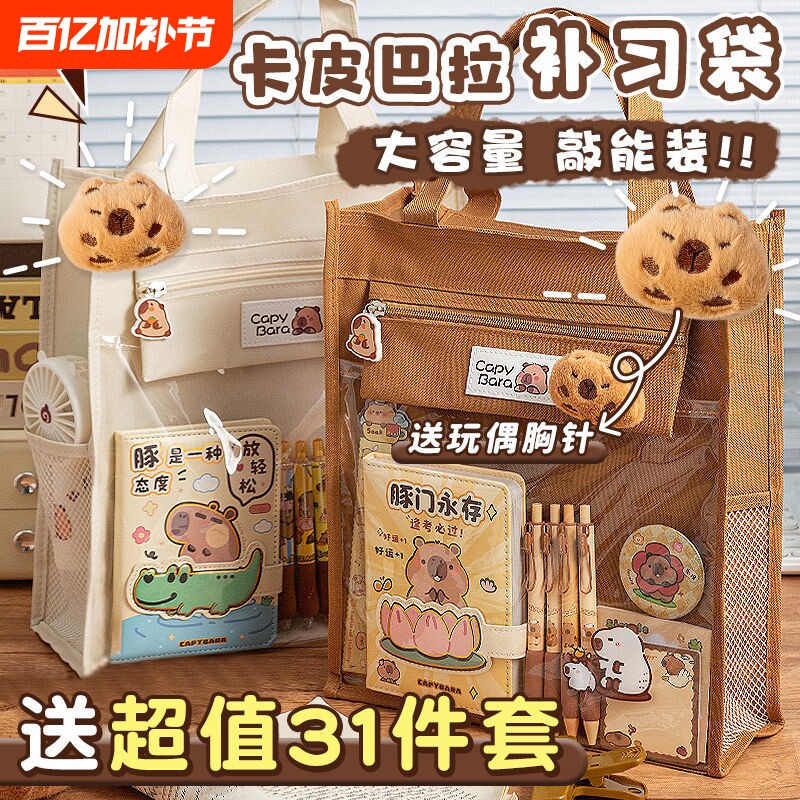 多功能卡皮巴拉补习袋透明手提袋拎书袋初中小学生男款女孩试卷书本收纳包帆布袋学习作业高颜值补课包大容量