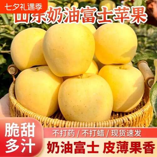 奶油富士苹果山东正宗黄金苹果新鲜水果非红富士当季孕妇水果精品