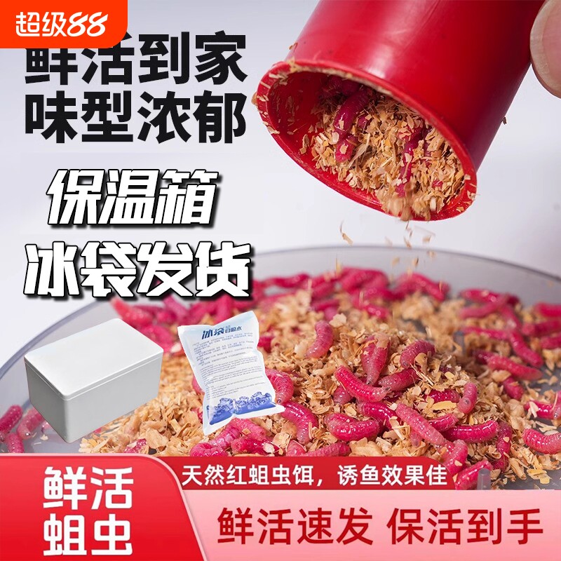 红蛆虫活饵300只|超2000次加购图片
