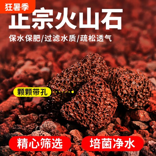 火山石多肉兰花专用|千人加购