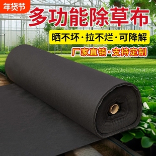 德国防草布绿黑除草布加厚耐用果园果树遮草盖草布农用地布保湿布