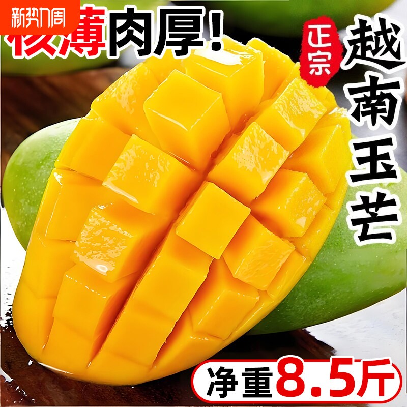 正宗越南大青芒10斤芒果新鲜水果当季热带青皮金煌芒整箱包邮现货