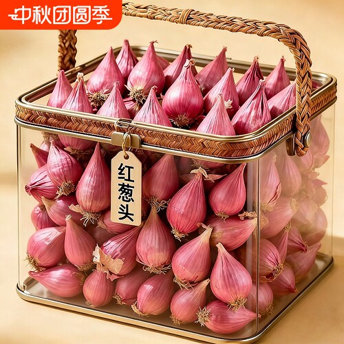 正宗红葱头四季小香葱头小黄头葱子蔬菜葱苗小葱孑火葱头熬葱油