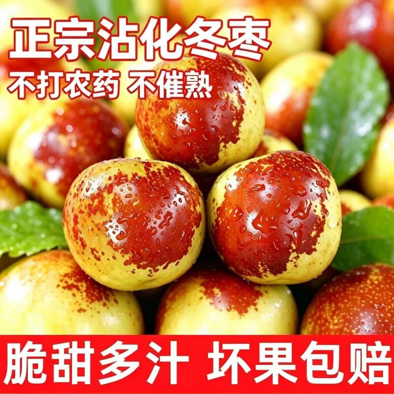 农家自产现摘现发正宗山东沾化冰糖冬枣新鲜水果脆甜整箱品包邮
