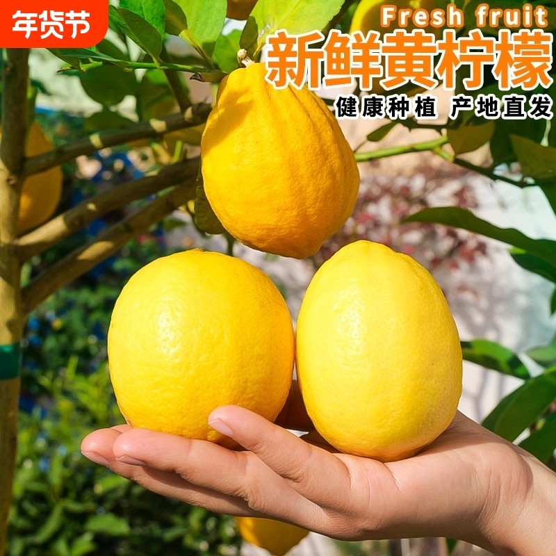 新鲜爆汁黄柠檬整箱单果80g+当季新鲜水果皮薄多汁产地精选直发