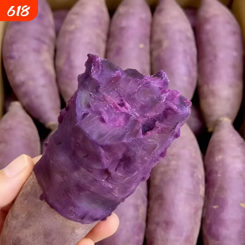 紫薯新鲜板栗红薯番薯地瓜蜜薯糖心山芋烟薯香薯蔬菜农家自种