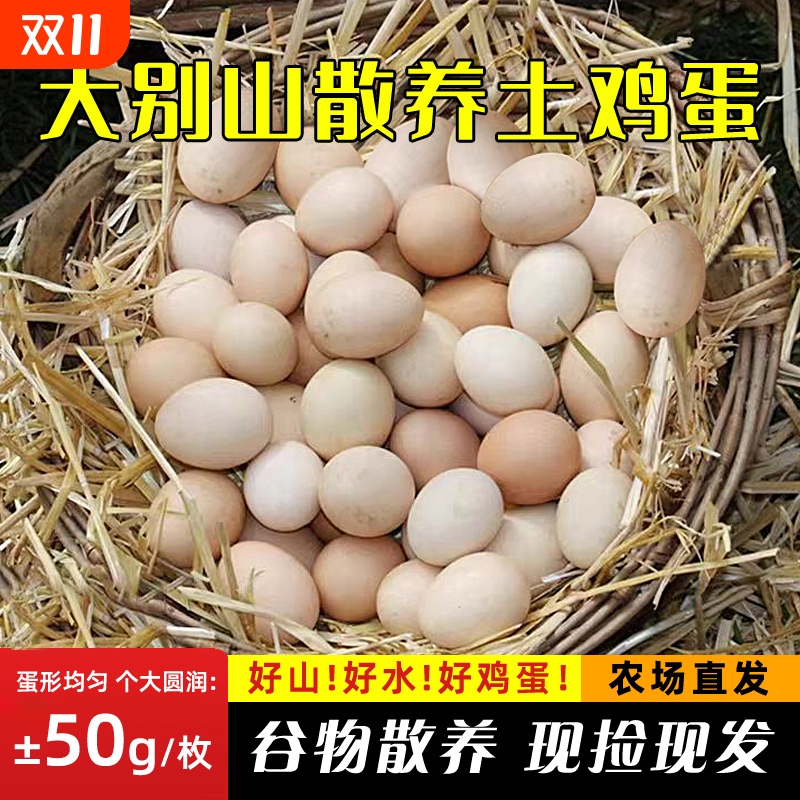 农村散养土鸡蛋大别山谷物鲜蛋